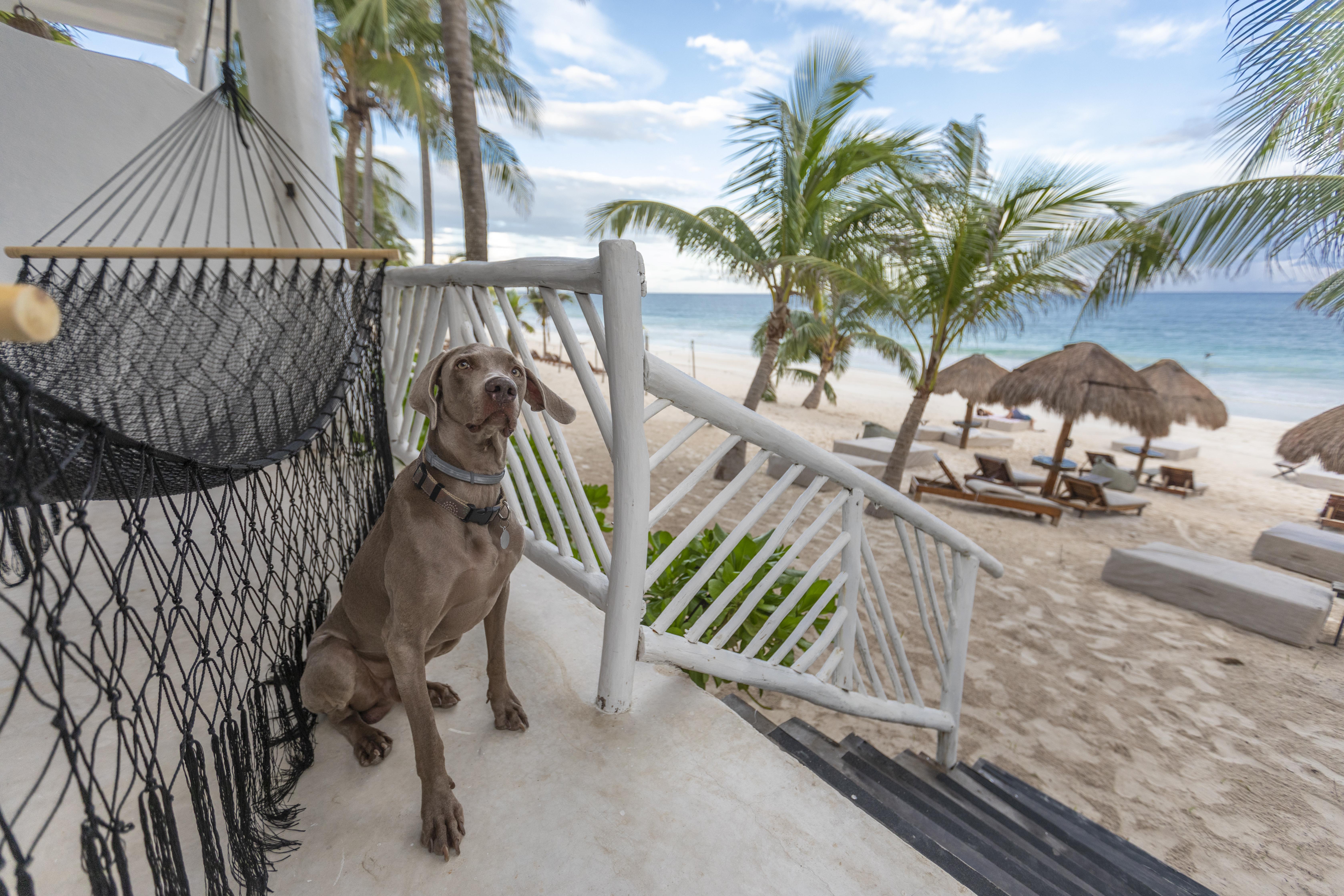 Los Amigos Beach Hotel Boutique Tulum Esterno foto