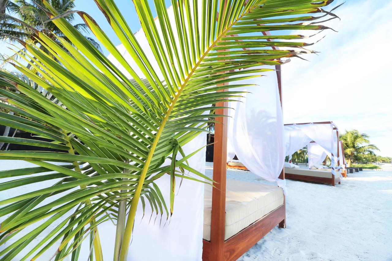 Los Amigos Beach Hotel Boutique Tulum Esterno foto